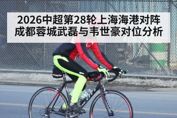 2026中超第28轮上海海港对阵成都蓉城武磊与韦世豪对位分析